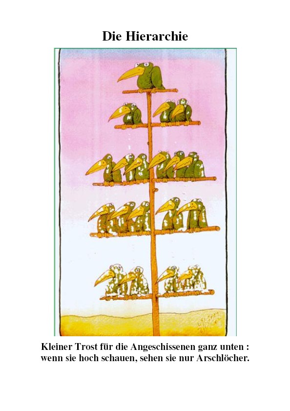 hierarchie.jpg